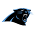 carolina panthers