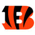 cincinnati bengals