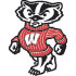 Wisconsin Badgers Golf Grip